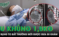 Vụ Án Gây Chấn Động: Ba Người Bị Bắt Giữ Vì Hoá Chất Trong Cải Thảo Ở Trung Quốc