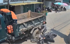 Cưa cây gây chết người: trách nhiệm, an toàn và cách cộng đồng nên phản ứng