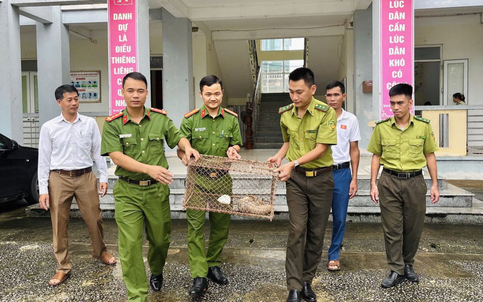 Hành Trình Cứu Hộ và Tái Thả Động Vật Hoang Dã Tại Vườn Quốc Gia Bạch Mã