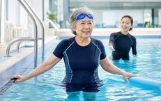 Lá sung: 5 công năng hỗ trợ sức khỏe và cách dùng an toàn