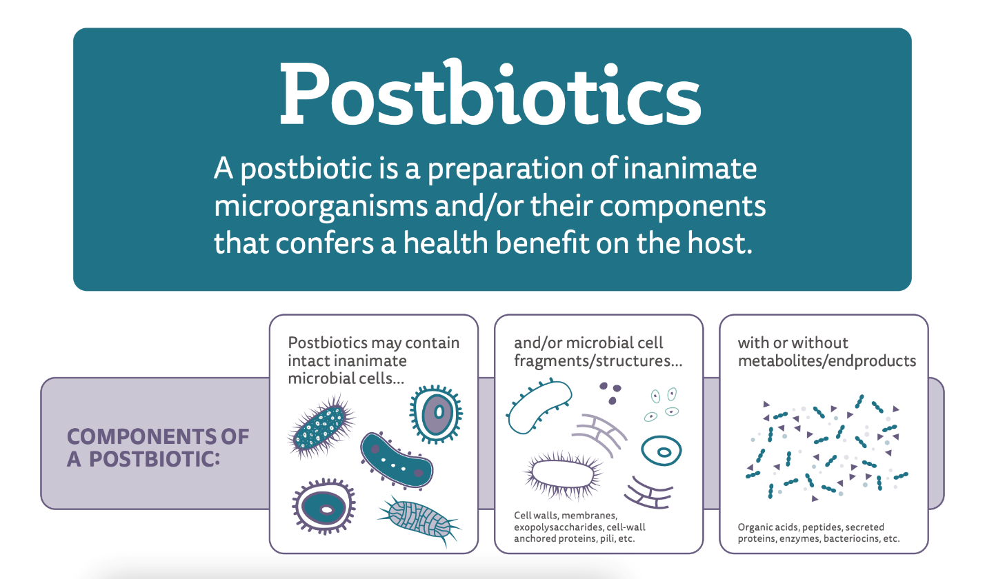 Postbiotic và LC‑Plasma: Khi vi sinh đã bất hoạt vẫn hỗ trợ miễn dịch ra sao