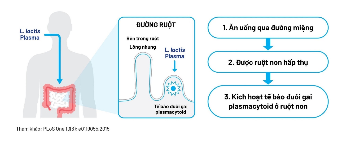 Công nghệ lợi khuẩn Postbiotic – Tiếp cận từ bằng chứng khoa học và thử nghiệm lâm sàng- Ảnh 4.