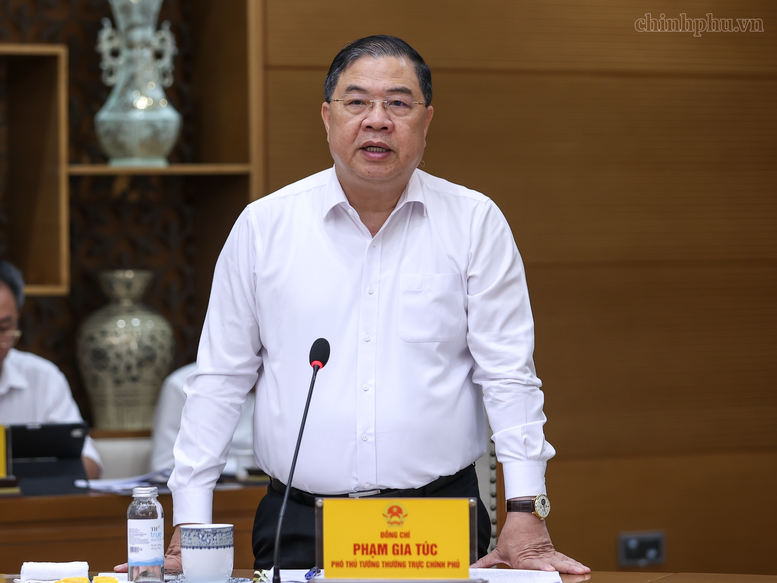 Thủ tướng yêu cầu tổ chức lại hệ thống phân phối xăng dầu- Ảnh 3.