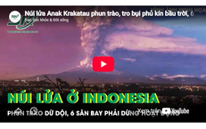 Tử vong người cao tuổi tại nhà: truyền thông, trách nhiệm và hỗ trợ cho gia đình dễ tổn thương